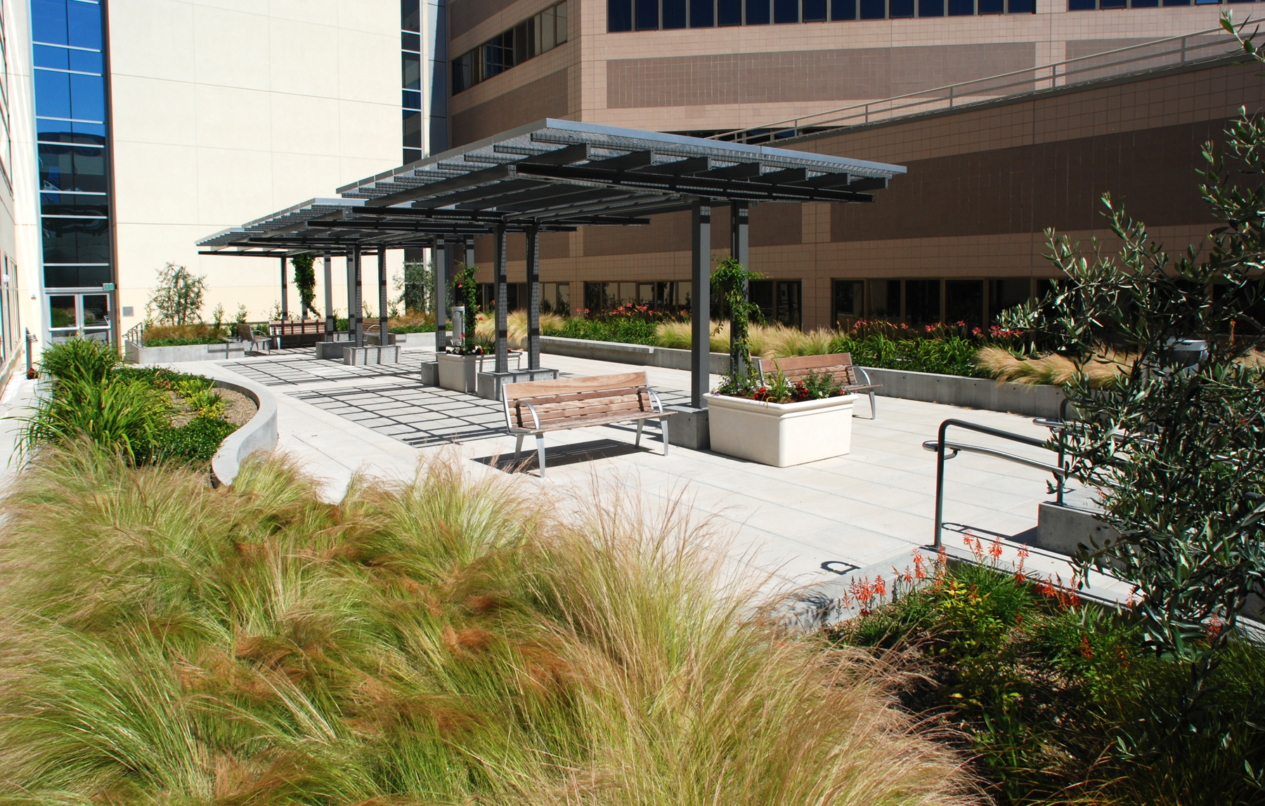 In the News SF Chronicle Q&A with Casey Case, Gates + Associates